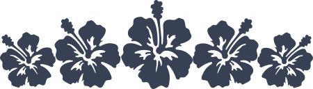 Five Hibiscus Flowers Border Sticker